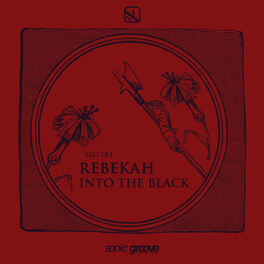 Album cover of Into the Black