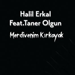 Album cover of Merdivenim Kırkayak