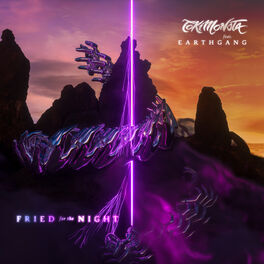 Album cover of Fried for the Night