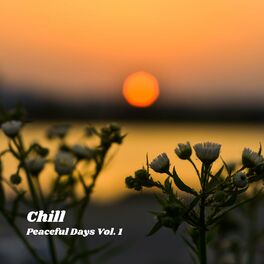 Album cover of Chill: Peaceful Days Vol. 1