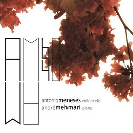 Album cover of AM60AM40