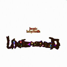 Album cover of UNLEASHED