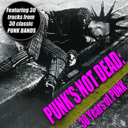 Album cover of Punk's Not Dead - 30 Years Of Punk