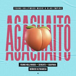Album cover of Agachaito