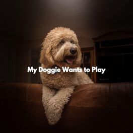 Album cover of My Doggie Wants to Play