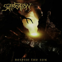 Album cover of Despise the Sun