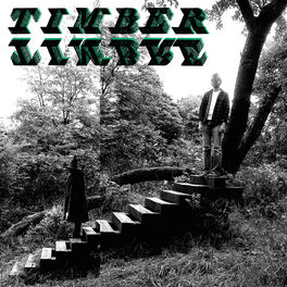 Album cover of Timber Timbre