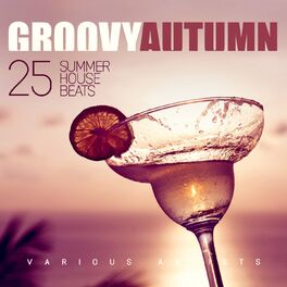 Album picture of Groovy Autumn (25 Summer House Beats)