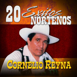 Album cover of 20 Exitos Nortenos