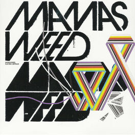 Album cover of Electric Zeppelin