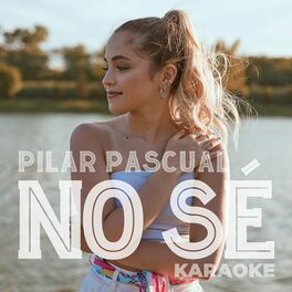 Album cover of No Sé (Karaoke)