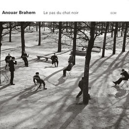 Album cover of Le pas du chat noir