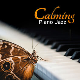 Calming Piano Music Collection - Sleeping Music (Goodnight Moon): listen  with lyrics | Deezer