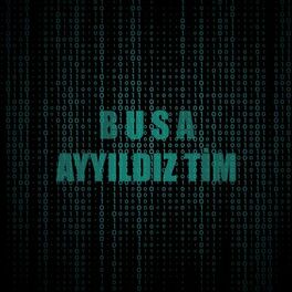 Album cover of Ayyıldız Tim