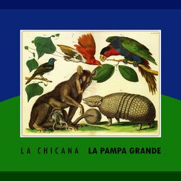 Album cover of La Pampa Grande
