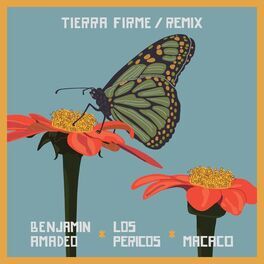 Album cover of Tierra Firme Remix