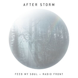 Album cover of After Storm