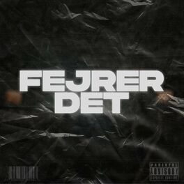 Album cover of Fejrer Det