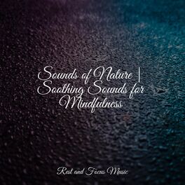 Album cover of Sounds of Nature | Soothing Sounds for Mindfulness