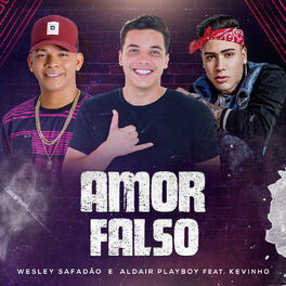 Album cover of Amor Falso