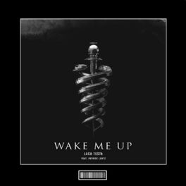 Album cover of Wake Me Up (Hardstyle Remix)