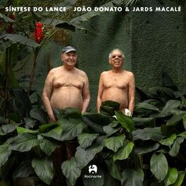 Album cover of Síntese do lance
