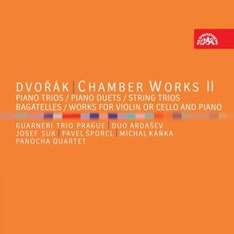 Album cover of Dvořák: Chamber Works II