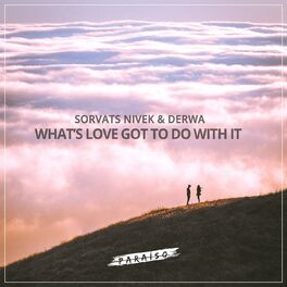 Album cover of What's Love Got To Do With It