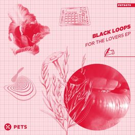 Album cover of For The Lovers