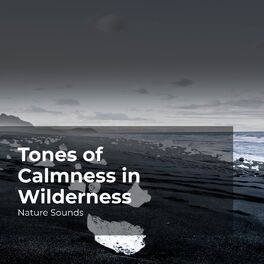 Album cover of Tones of Calmness in Wilderness