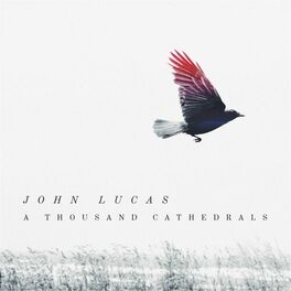 Album cover of A Thousand Cathedrals