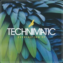 Album cover of Everlasting EP