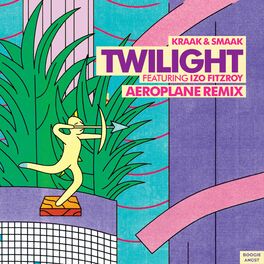 Album cover of Twilight (Aeroplane Remix)