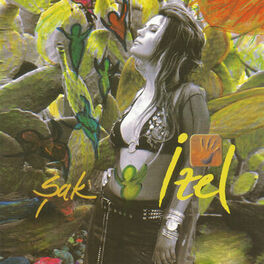 Album cover of Şak