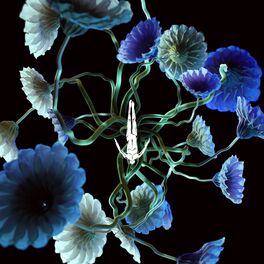 Album cover of Dreamcast