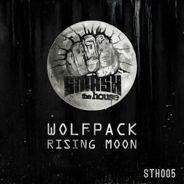 Album cover of Rising Moon