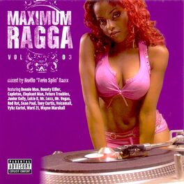 Album cover of Maximum Ragga, Vol. 3