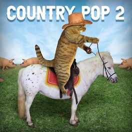 Album cover of Country Pop 2