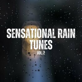 Album cover of Sensational Rain Tunes Vol. 2