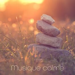 Album cover of Musique calme