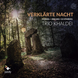 Album cover of Verklärte Nacht