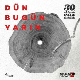 Album cover of 30. Akbank Caz Festivali: Dün, Bugün, Yarin