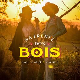 Album cover of Na Frente dos Bois