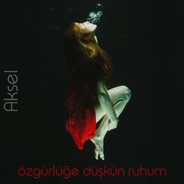 Album cover of Özgürlüğe Düşkün Ruhum
