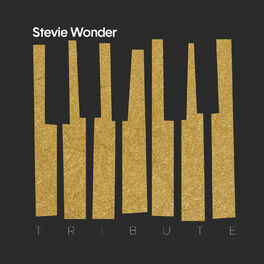 Album cover of A Tribute to Stevie Wonder