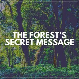 Album cover of The Forest's Secret Message