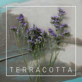 Album cover of Terracotta