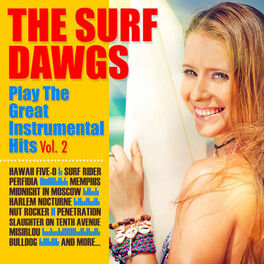 Album cover of Play the Great Instrumental Hits - Vol. 2