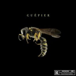 Album cover of Guêpier