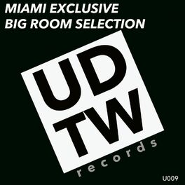 Album cover of Miami Exclusive Big Room Selection